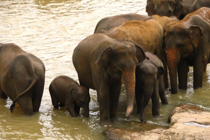 All inclusive Private jeep safari at Yala National park - What This Tour Suits Best (and Who Might Want Something Else)