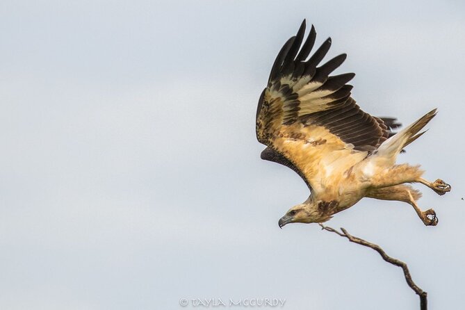 All Inclusive Private Safari in Minneriya National Park - Logistics that help (and one comfort watch-out)