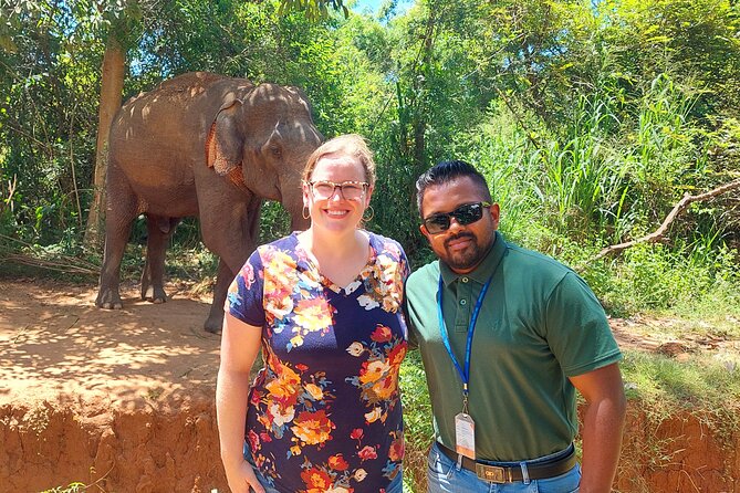 All Inclusive Udawalawe National Park Safari Day Tour from Colombo and Negombo - Beyond elephants: other wildlife you should look for