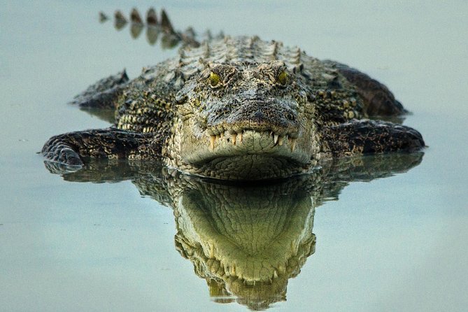 All Inclusive Wilpattu National Park Day Tour From Anuradhapura - Guides and coordination: the human side of a good safari
