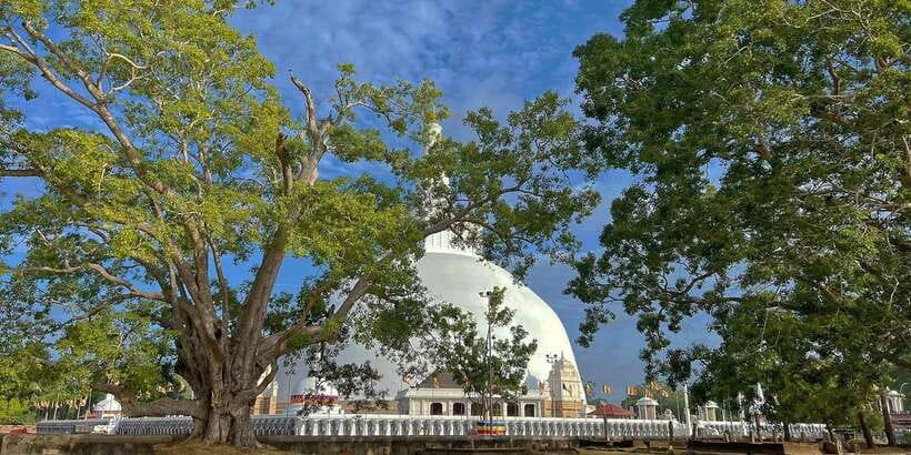 Anuradhapura Private Ancient City Day Tour - Why Anuradhapura feels different with a guide
