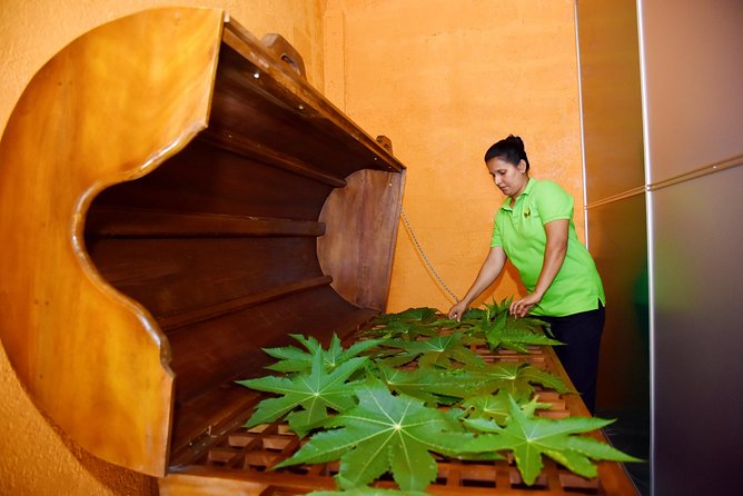 Ayurveda Day Package - Key highlights you’ll care about