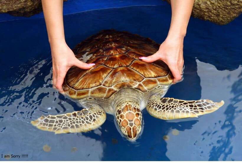 Bentota: All Inclusive Galle Dutch Fort & Madu River Safari - Key things to know before you go