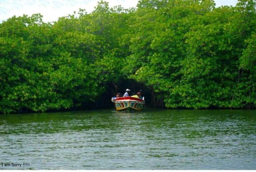 Bentota: All Inclusive Galle Dutch Fort & Madu River Safari - Should you book?