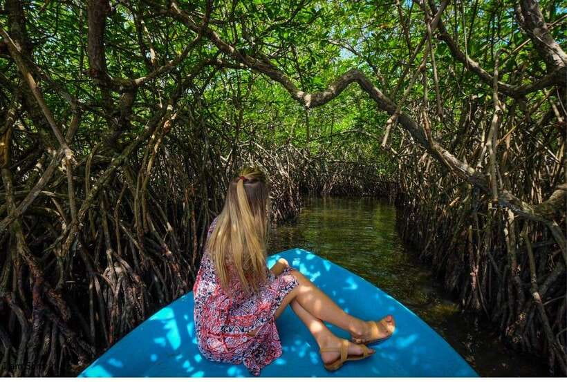 Bentota: All Inclusive Galle Dutch Fort & Madu River Safari - Who should book this Bentota-area tour?