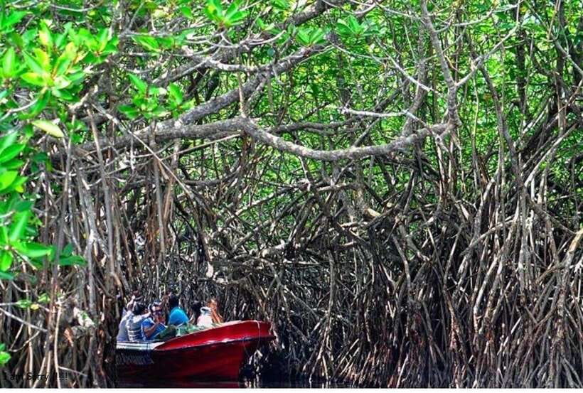 Bentota: All Inclusive Galle Dutch Fort & Madu River Safari - What to bring for the day