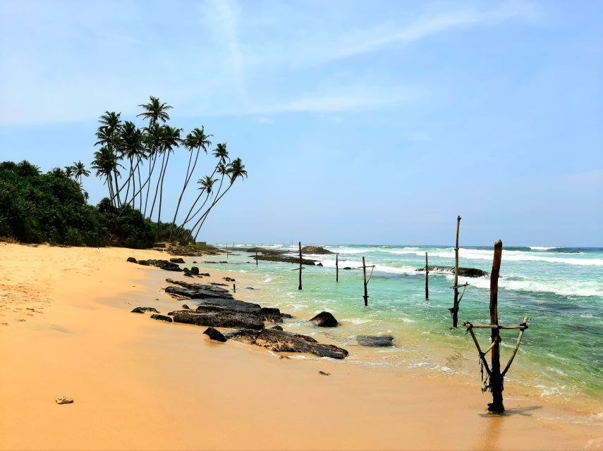 Bentota beach, River Mangroves lagoon, Wildlife Tour - Price and What You’re Really Paying For ($30 per person)