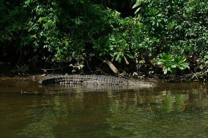 Bentota River Boat Safari with Private Boat Beruwala/Bentota/Kosgoda/Ahungalla - Price and Logistics (What You Actually Get for $62.19)