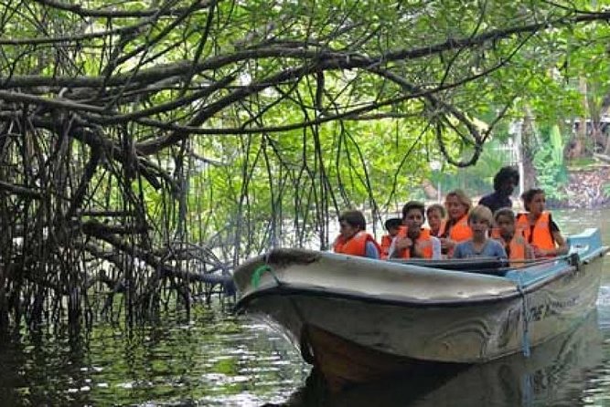 Bentota River Boat Safari with Private Boat Beruwala/Bentota/Kosgoda/Ahungalla - Comfort Details That Matter More Than They Sound