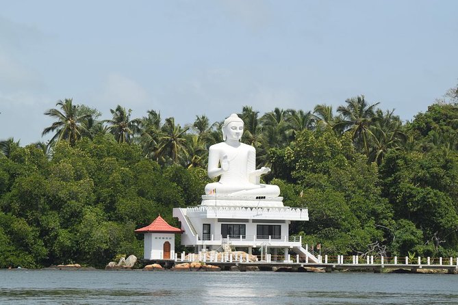 Bentota River Safari By BTM (Mangrove & Wildlife Encounter) - Why a Bentota River Mangrove Cruise Works When Time Is Short