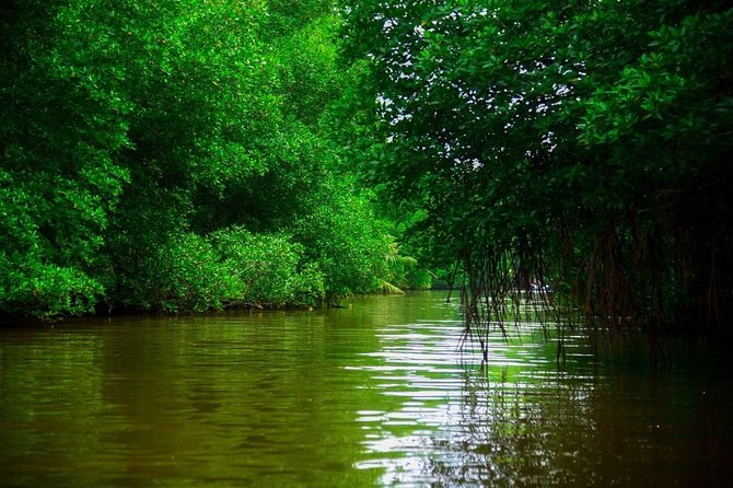 Bentota River Safari By BTM (Mangrove & Wildlife Encounter) - Snacks, Fruit, and How to Handle Wildlife Respectfully