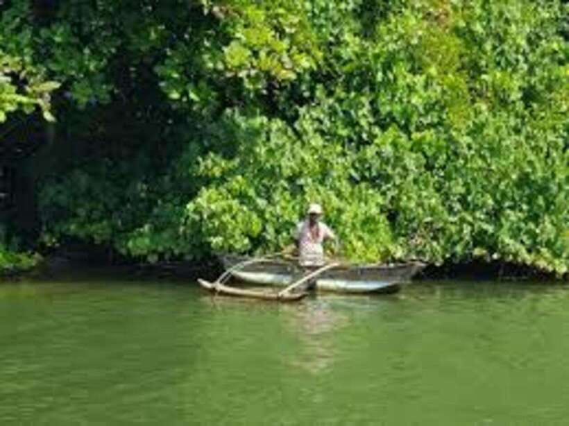 Bentota: River Safari with Hotel Pickup and Drop-Off - Getting There: Where Pickup Happens and Why It Matters