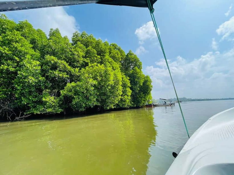 Bentota: River Safari with Hotel Pickup and Drop-Off - Practical Tips for Better Wildlife Spotting