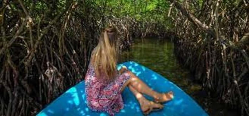 Bentota: River Safari with Hotel Pickup and Drop-Off - The 2-Hour Boat Safari: What You Actually See on the Water