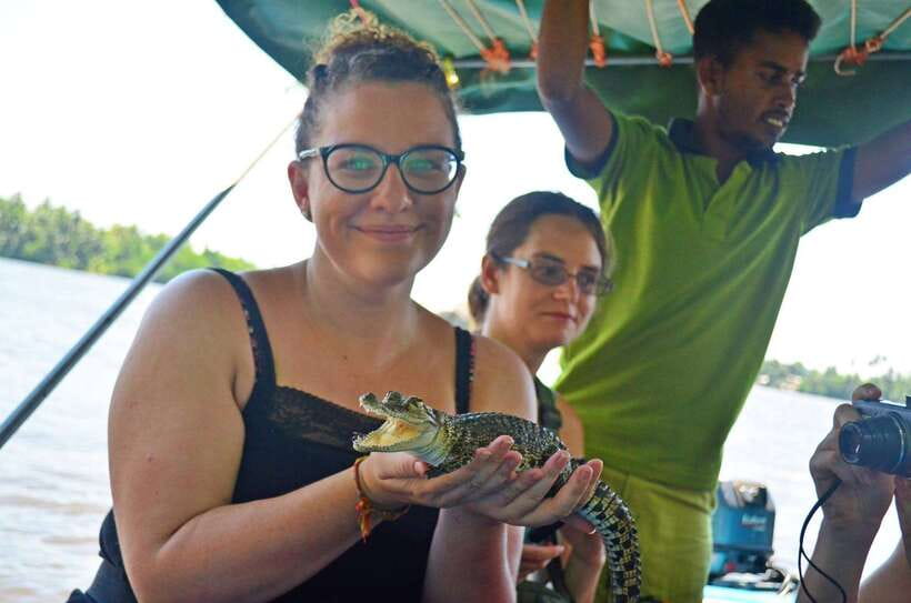 Bentota River Safari with Mangrove and Wildlife Encounter - Wildlife You Can Actually Aim For: Crocodiles, Monitors, Birds, and More