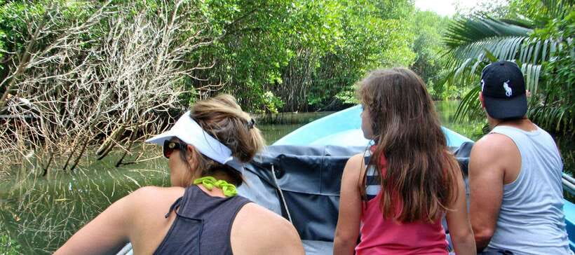 Bentota River Safari with Mangrove and Wildlife Encounter - Price and Value: Is $20 Per Person Actually a Good Deal?
