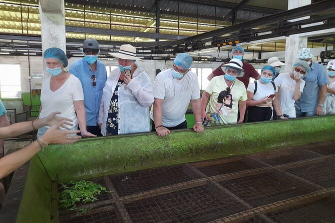 Bentota Village Tour with River Safari & Tea Plantation/Factory - All Inclusive - Morning Pick-up in Bentota: Why Timing Matters