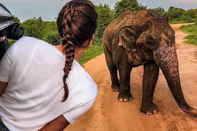 Best Of Sri lanka Tour (06 Days 05 Nights) - Kandy- N.Eliya -Bentota-Colombo - Key promise you’ll feel day by day