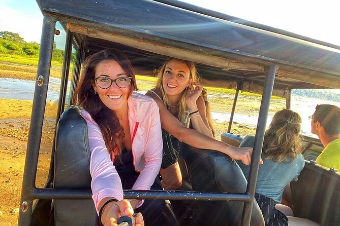 Budget Tours Sri Lanka with 7 Nights accommodation - Day 1: Arrival, Sigiriya Area Base, and a Safari That Matches Elephant Chances