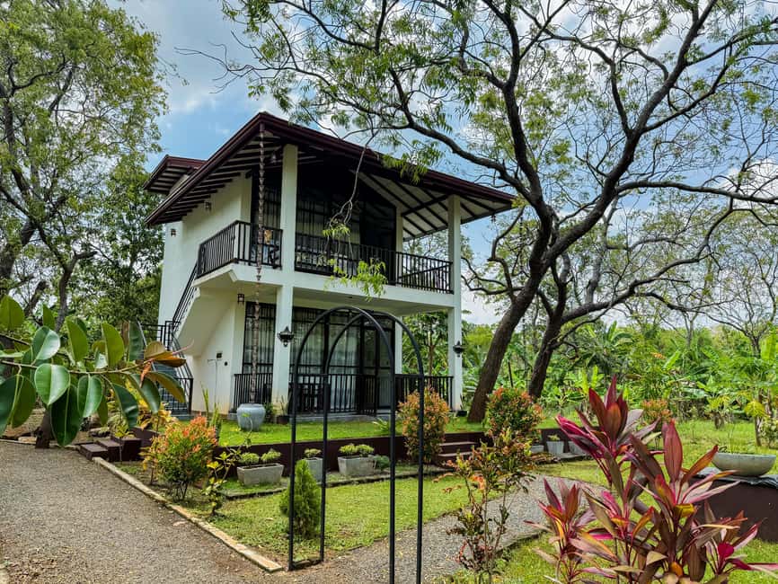 Budget Yala Safari with Accomadation & Meals Included - Key points before you go