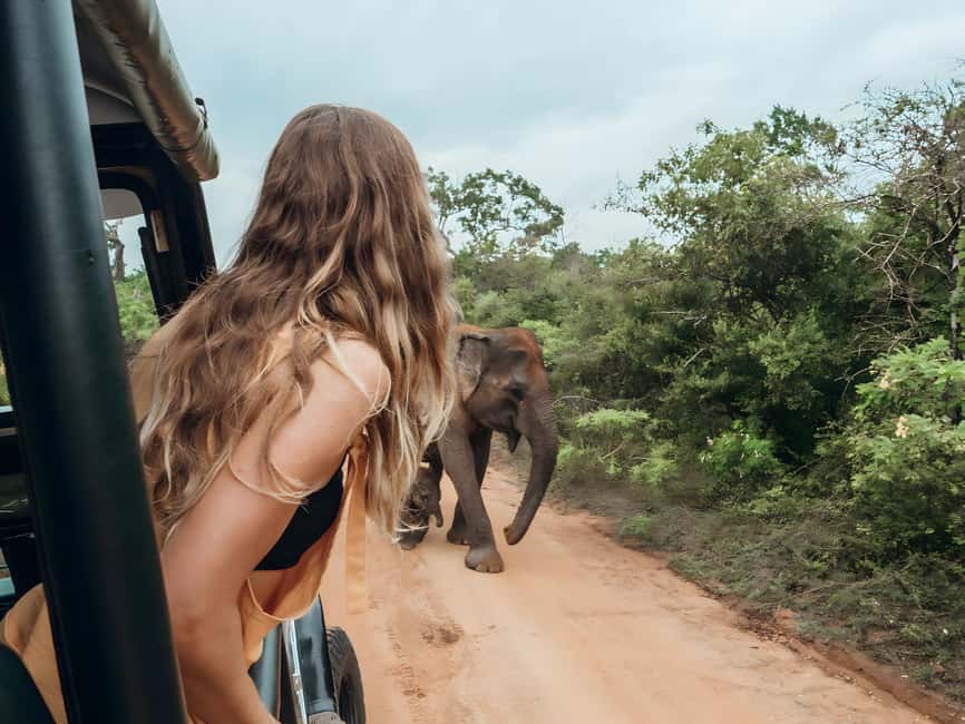 Budget Yala Safari with Accomadation & Meals Included - The safari part: shared open-top jeep in Yala National Park