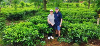 Ceylon Tea Experience from Colombo Port Passenger Terminal - Rayigam Tea Factory: the best stop for photos, walking, and context