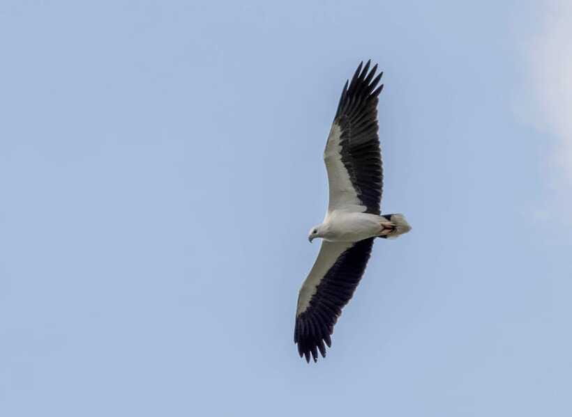 Colombo: Bird watching around Colombo-Guided Tour - 06 hours - Who this tour suits best