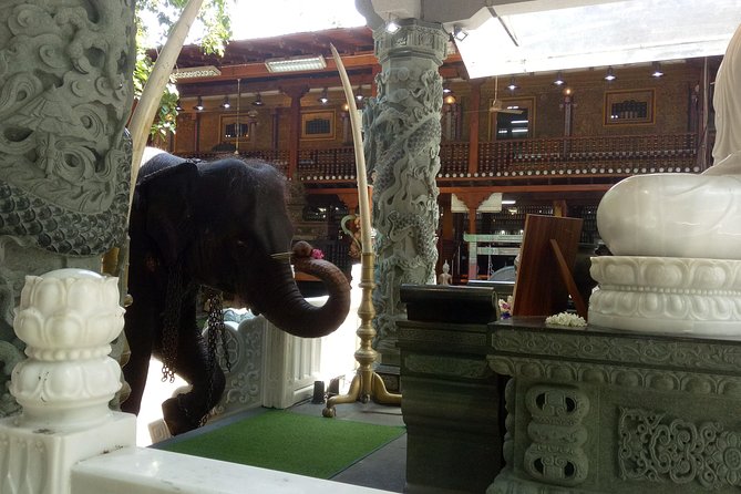 Colombo City Day Tour - Fort & Pettah-to-Shopping: Seeing Everyday Colombo and Buying Smart