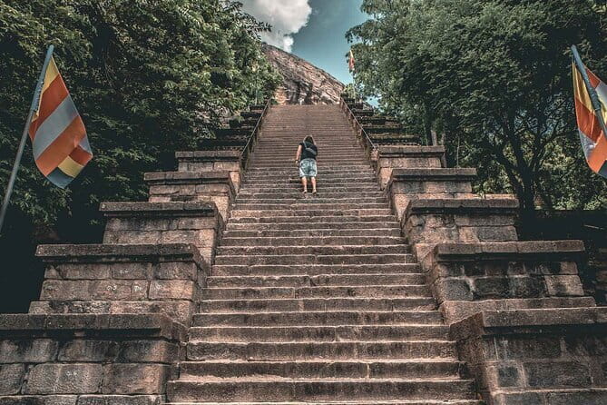 Colombo City to Sigiriya City Private Transfer - Direct Transfer, No Sightseeing Stops: How to Use This Time Wisely