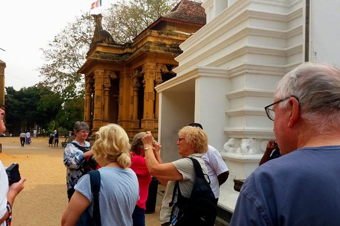 Colombo City Tour (small group with pickup from Cruise ship) - Price and Value: What 100 USD Actually Buys You