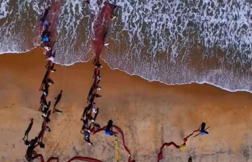 Colombo-Galle Fort, Boat Safari, Turtles, Amazing Group Tour - Key things to know before you go