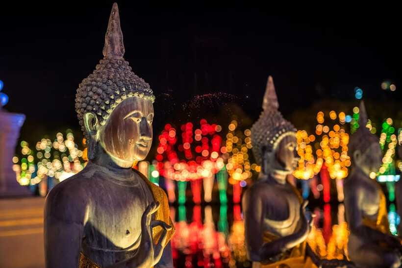 Colombo: Guided City Tour - Cruise Port Pickup: Shuttle Gates and Staying on Schedule