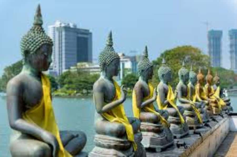 Colombo: Guided City Tour with Entry Tickets - Gangaramaya Buddhist Temple and a Hindu Temple Stop