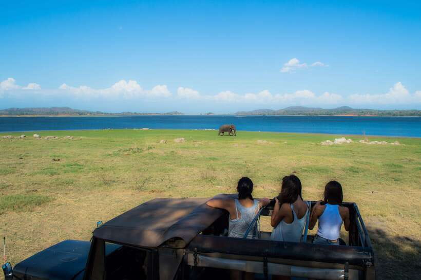 Colombo/Negombo: Sigiriya, Dambulla, and Minneriya Safari - Lunch reality check: you’ll pay for it yourself