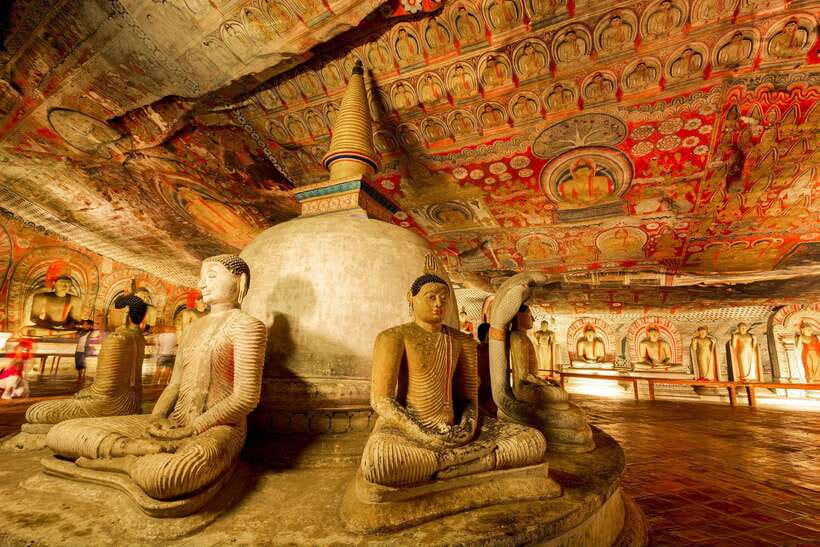 Colombo/Negombo: Sigiriya, Dambulla, and Minneriya Safari - Minneriya National Park safari: what you’re actually buying