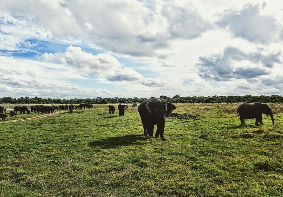 Colombo/Negombo: Sigiriya, Dambulla, and Minneriya Safari - Entrance fees and budget math: is $70 really the full cost