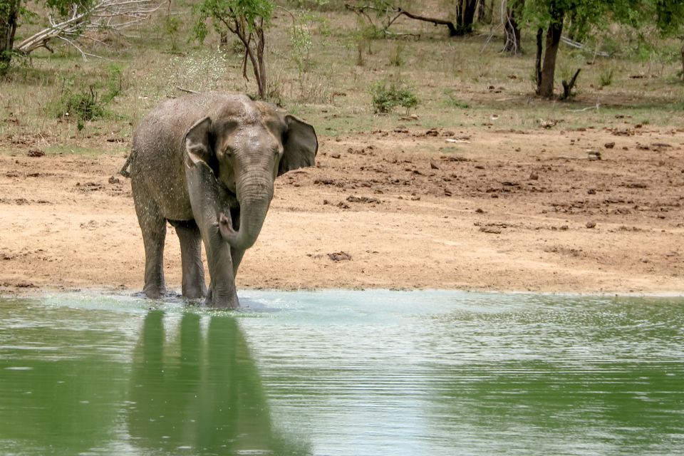 Colombo/Negombo: Sigiriya, Kandy, Ella 3-Day Trip with Train - Kandy After Dark: Temple of the Tooth Relic and the Real Meaning of a Night Stop