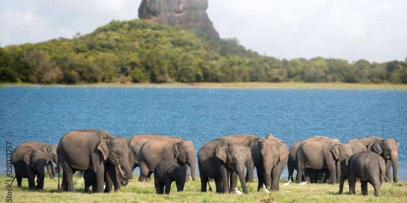 Colombo/Negombo to Sigiriya, Dambulla & Jeep Safari Day Tour - Morning at Dambulla: cave temples with UNESCO gravitas