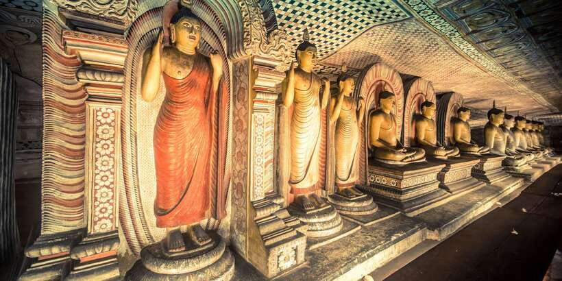 Colombo/Negombo to Sigiriya, Dambulla & Jeep Safari Day Tour - Wild Jeep safari: where the animals show up (or don’t)