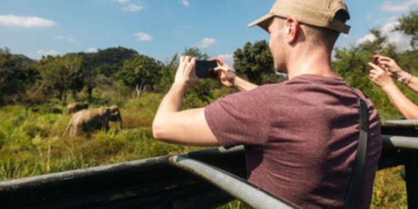 Colombo/Negombo to Sigiriya, Dambulla & Jeep Safari Day Tour - Climbing Sigiriya: the 1300 stairs and the prize at the top