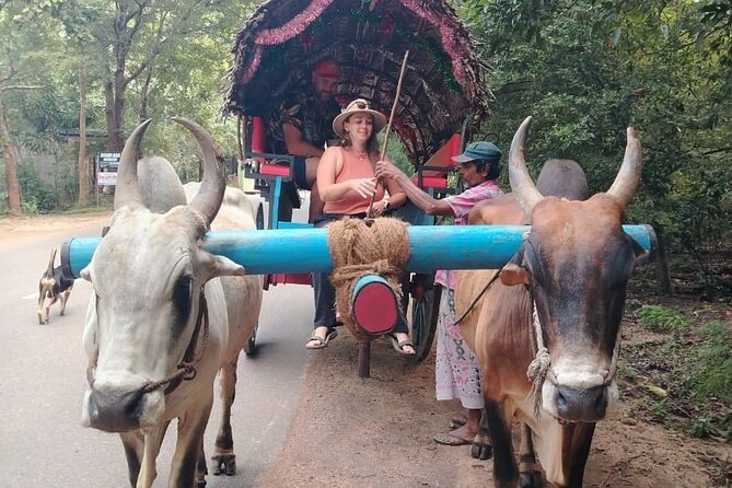 Colombo , Negombo to Trincomalee Transfer and Safari - Best Fit: Who Should Book This (and Who Should Rethink)