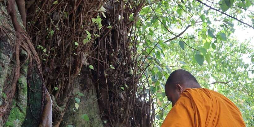 Colombo Port Shore Excursions Colombo City & Kalaniya Temple - Key highlights you’ll care about