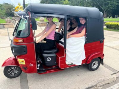 Colombo: Private Tuk-Tuk City Tour with All Entry Fees - Gangaramaya, Sima Malaka, and Viharamahadvi Park: A Temple-to-Tea-Day Rhythm