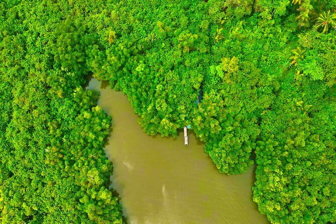 Colombo to Galle All Inclusive Private Day Tour - Madu River Safari by Nilwala: Mangroves, Islands, and Real Boat Time
