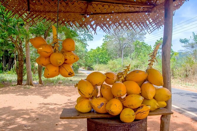 Colombo Tuk Tuk Adventure Explore Food & Culture - Festival streets and city pride during Vesak and New Year
