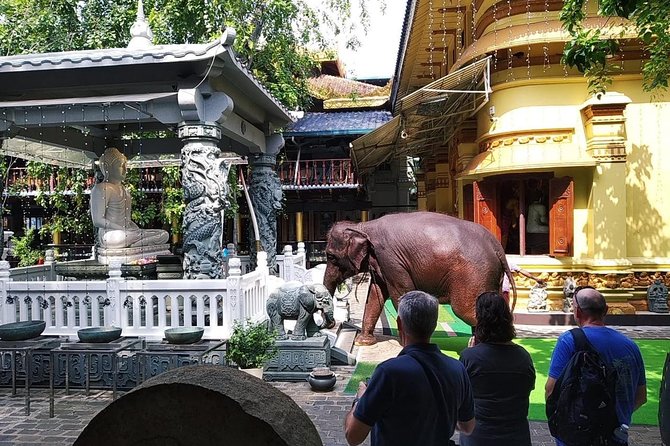 Colombo TUK TUK CITY Tours -Sightseeing Entry Fees - How the Guide Quality Shows Up in Real Time