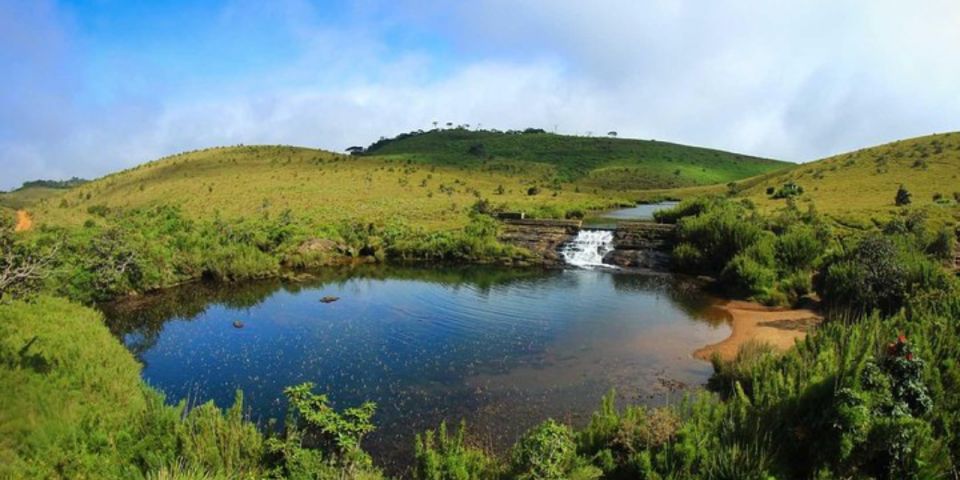 Comprehensive Excursion: Horton Plains and Pedro Tea Factory - Price and value: is $125 per person fair?