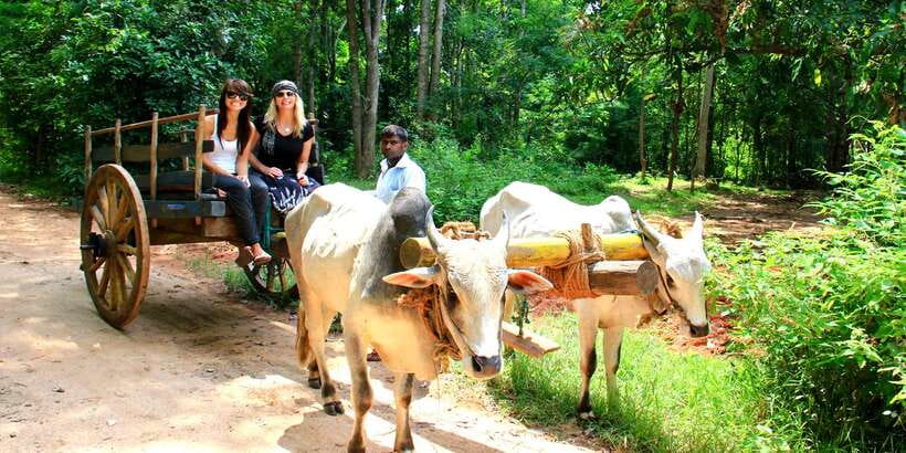 Dambulla: Cave Temple and Village All-Inclusive Tour - Cooking Demonstration and Rural Lunch: The Part That Feels Most Real