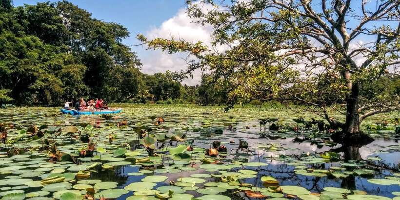 Dambulla: Cave Temple and Village All-Inclusive Tour - Itinerary Flow: How the Day Stays Organized from Pickup to 3:00PM Return