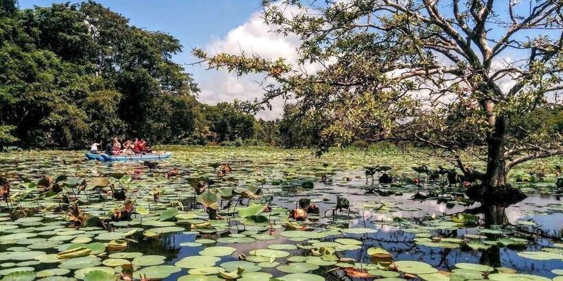 Dambulla: Caves Temple & Traditional Village Tour with Lunch - The road stops: photo views and Hiriwadunna on the way
